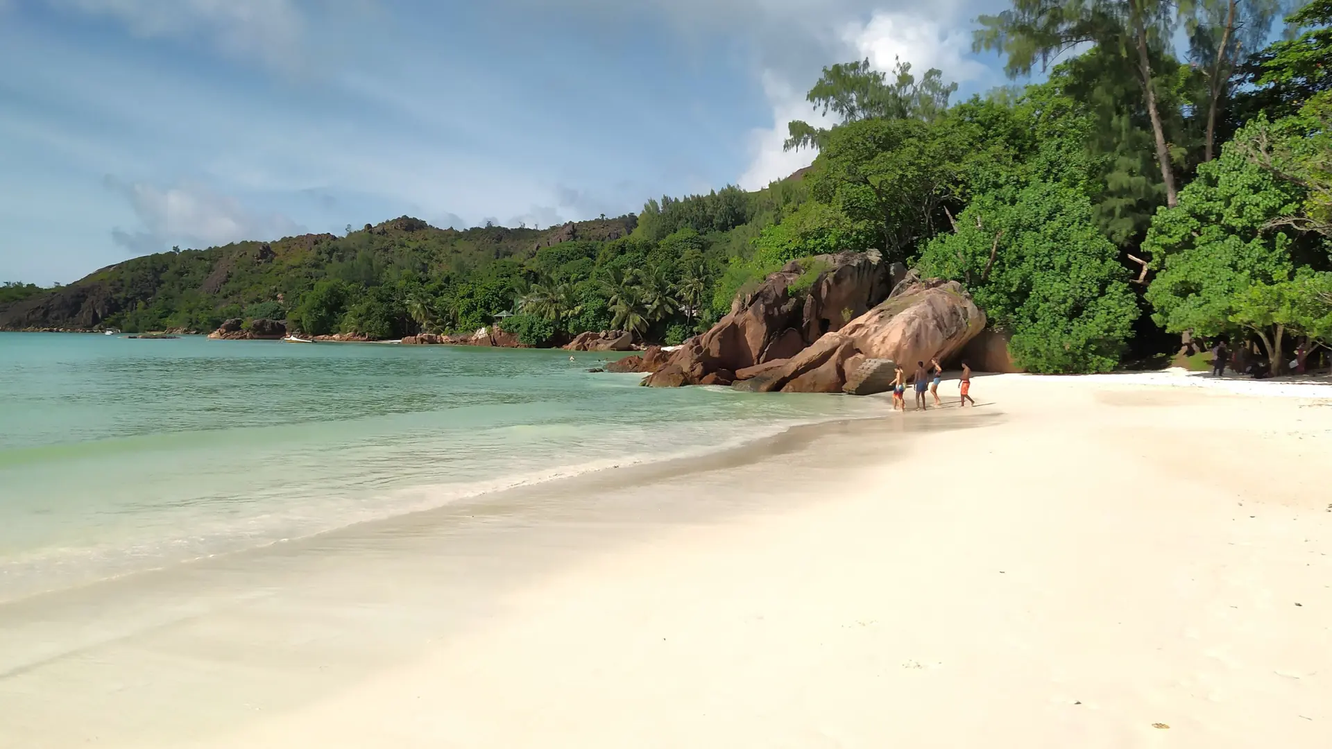Sunny sand, palms and clear water at Anse Volbert in Baie Sainte Anne district, Praslin