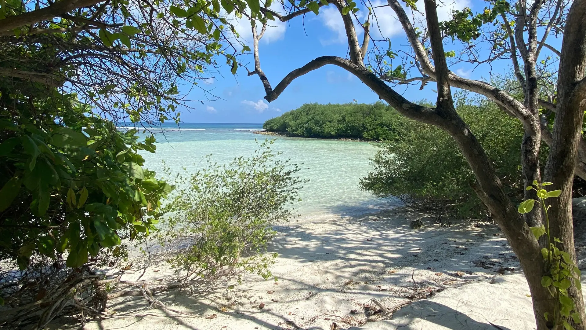A sunlit Thulusdhoo beach and pale lagoon framed by coastal trees