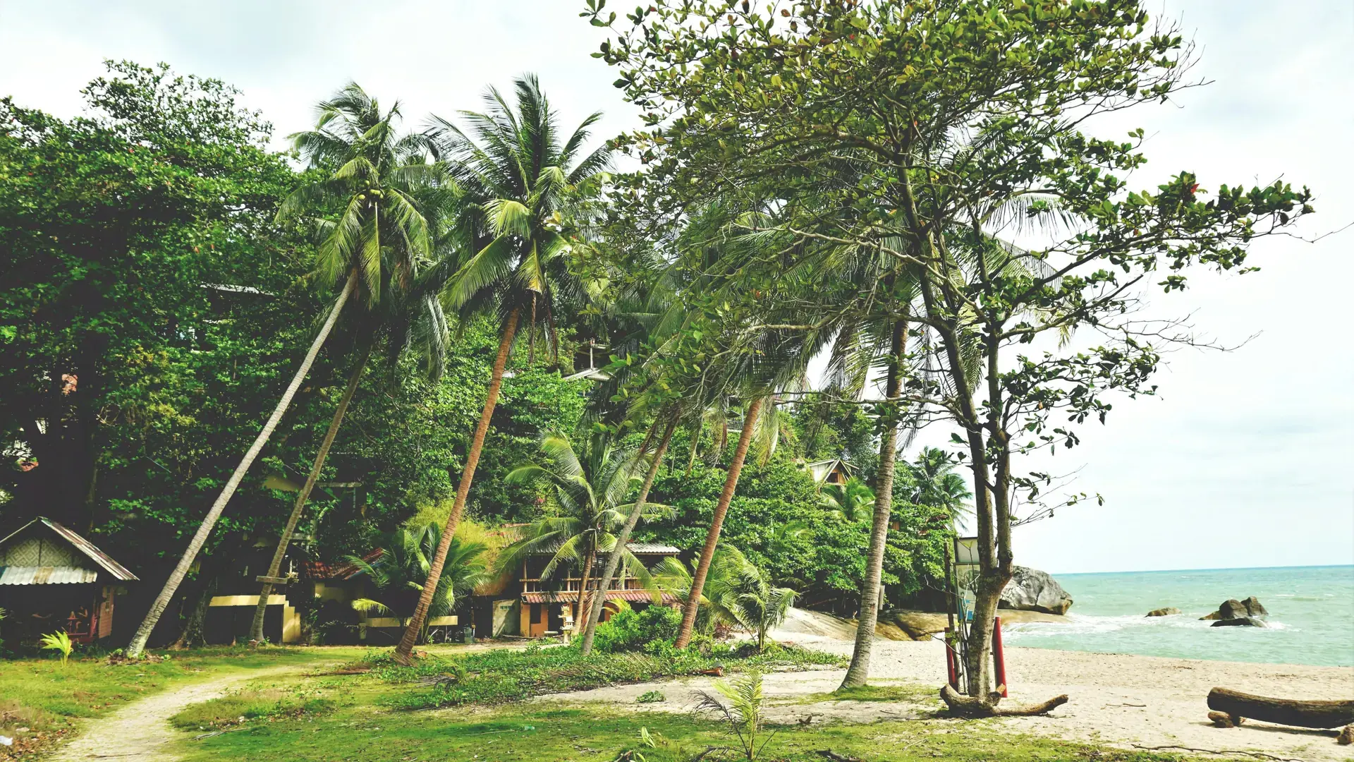 Palms and villas edging a bright sandy beach on Koh Phangan