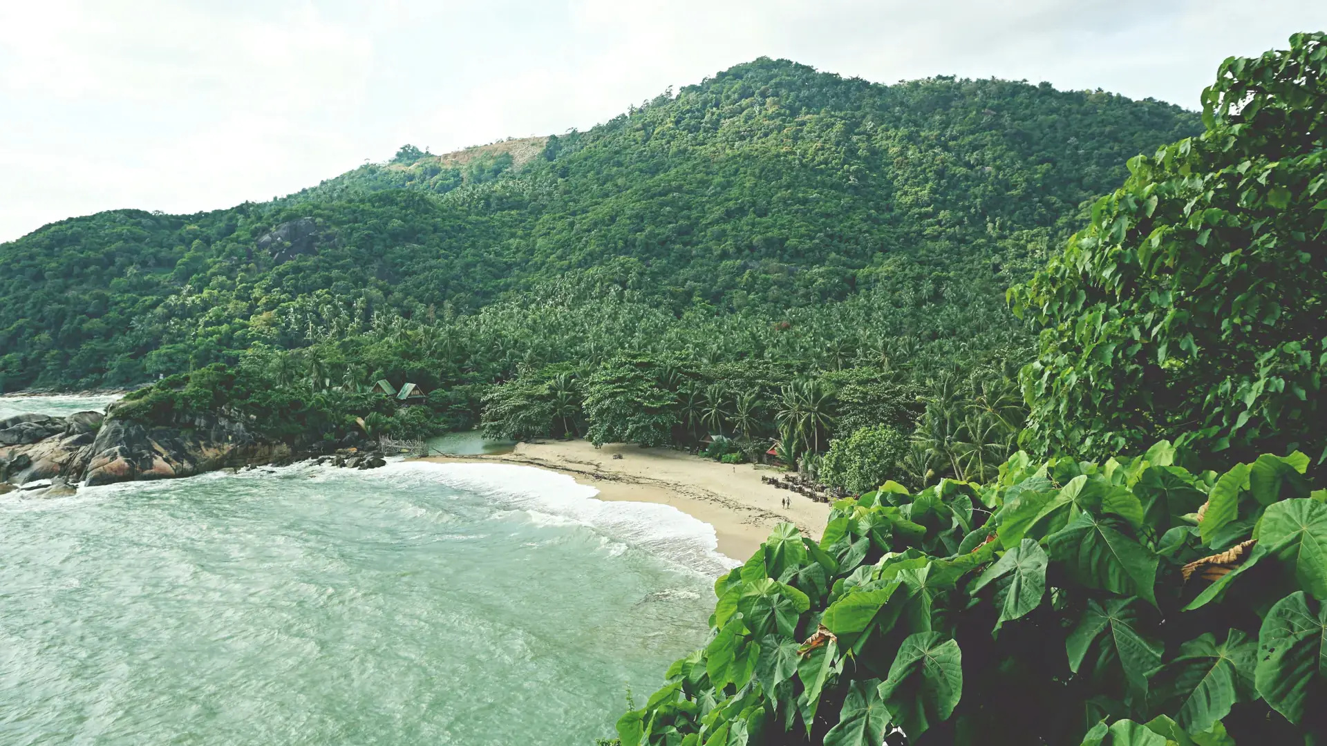 Forested rocky cove with breaking surf at Ban Tai on Koh Phangan, illustrating the wider island
