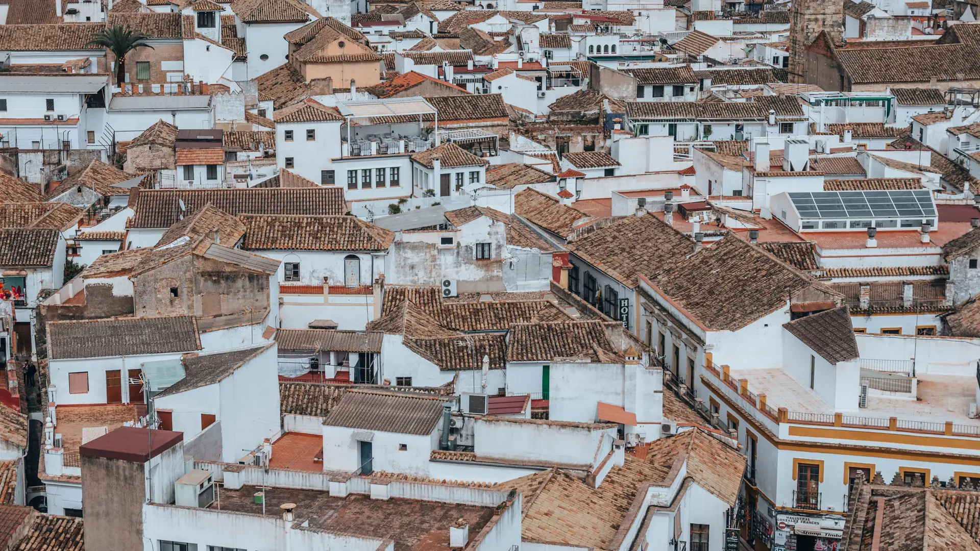 Rooftops and whitewashed buildings around Magistral González Francés in Córdoba’s historic centre