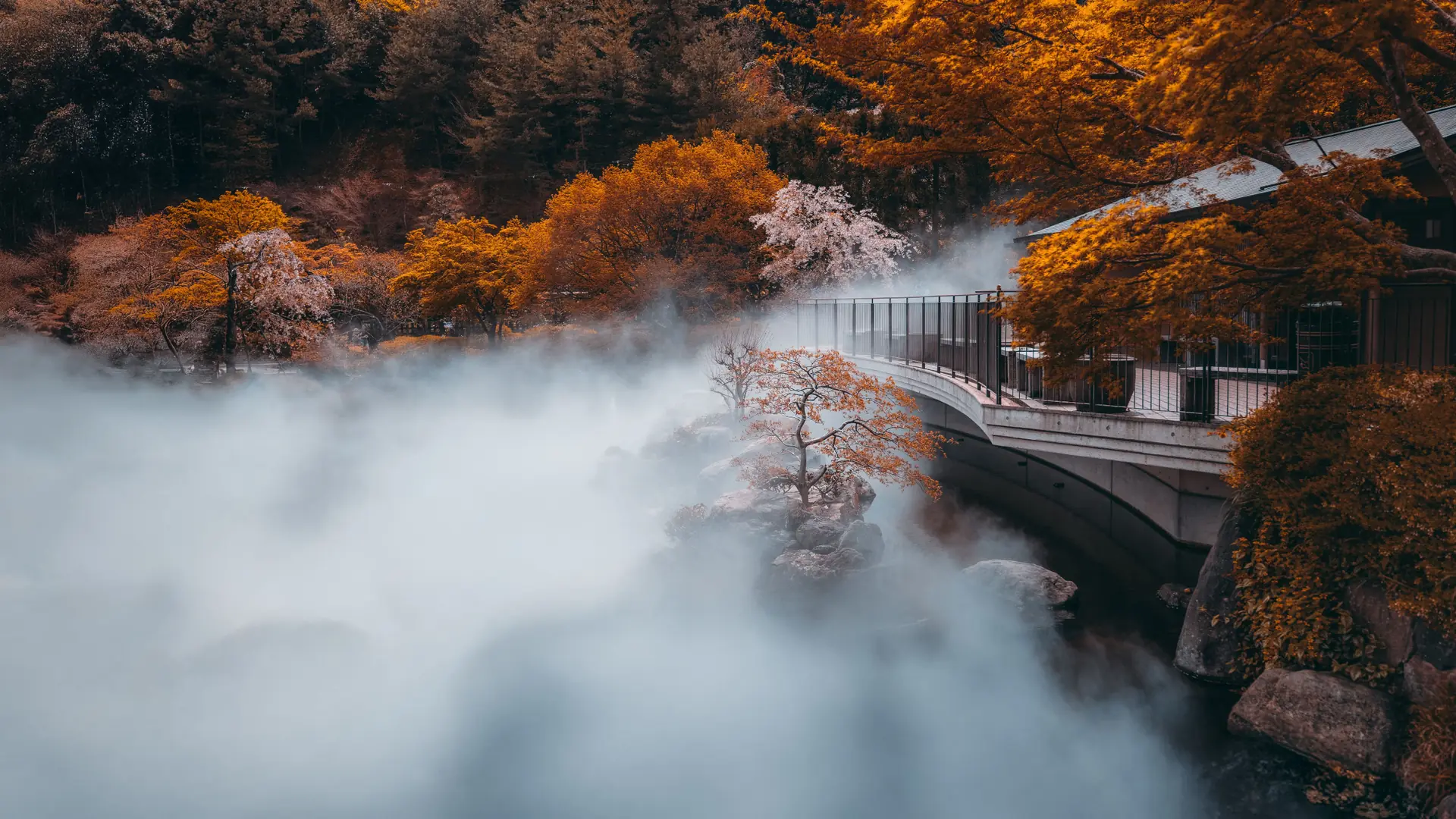 Traditional Kurokawa Onsen ryokan buildings beside a wooded river