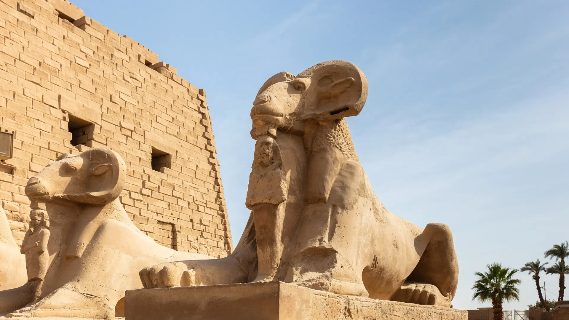 Ram-headed sphinxes beside Karnak Temple’s sunlit stone pylon in Luxor