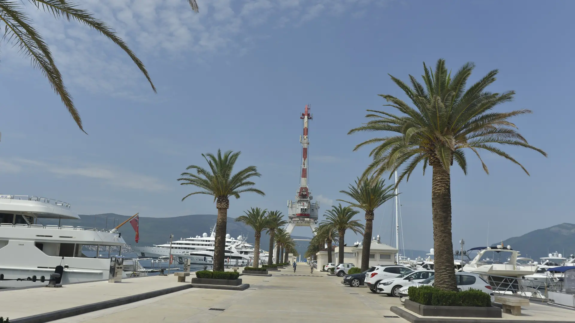Palm-lined promenade and moored yachts at Porto Montenegro in Tivat