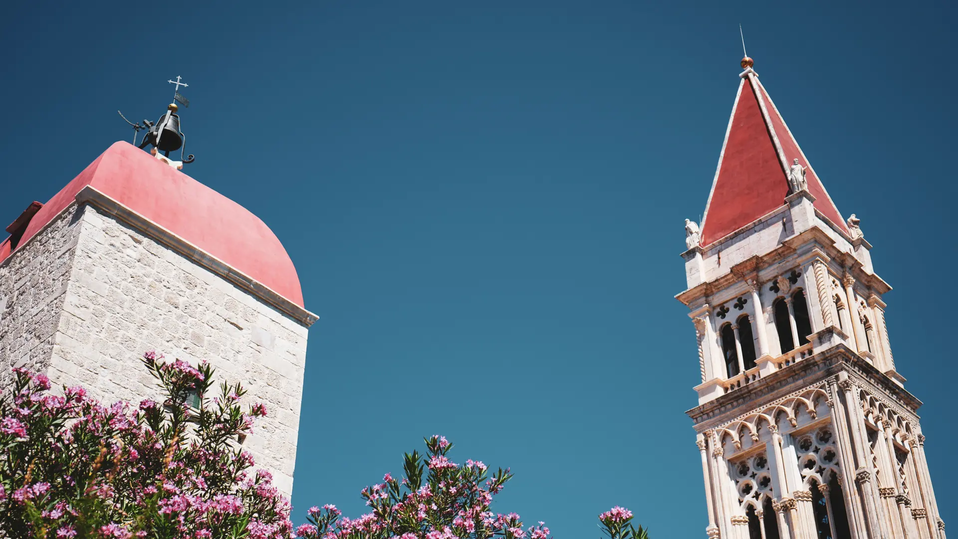 The bell towers of Trogir's cathedral rising against a clear blue sky, framed by oleander blossoms