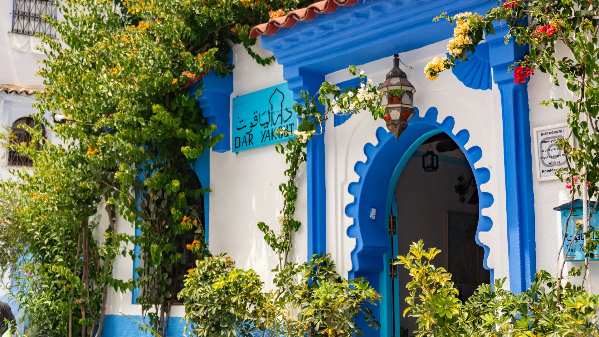Blue-and-white Chefchaouen doorway framed by flowering greenery