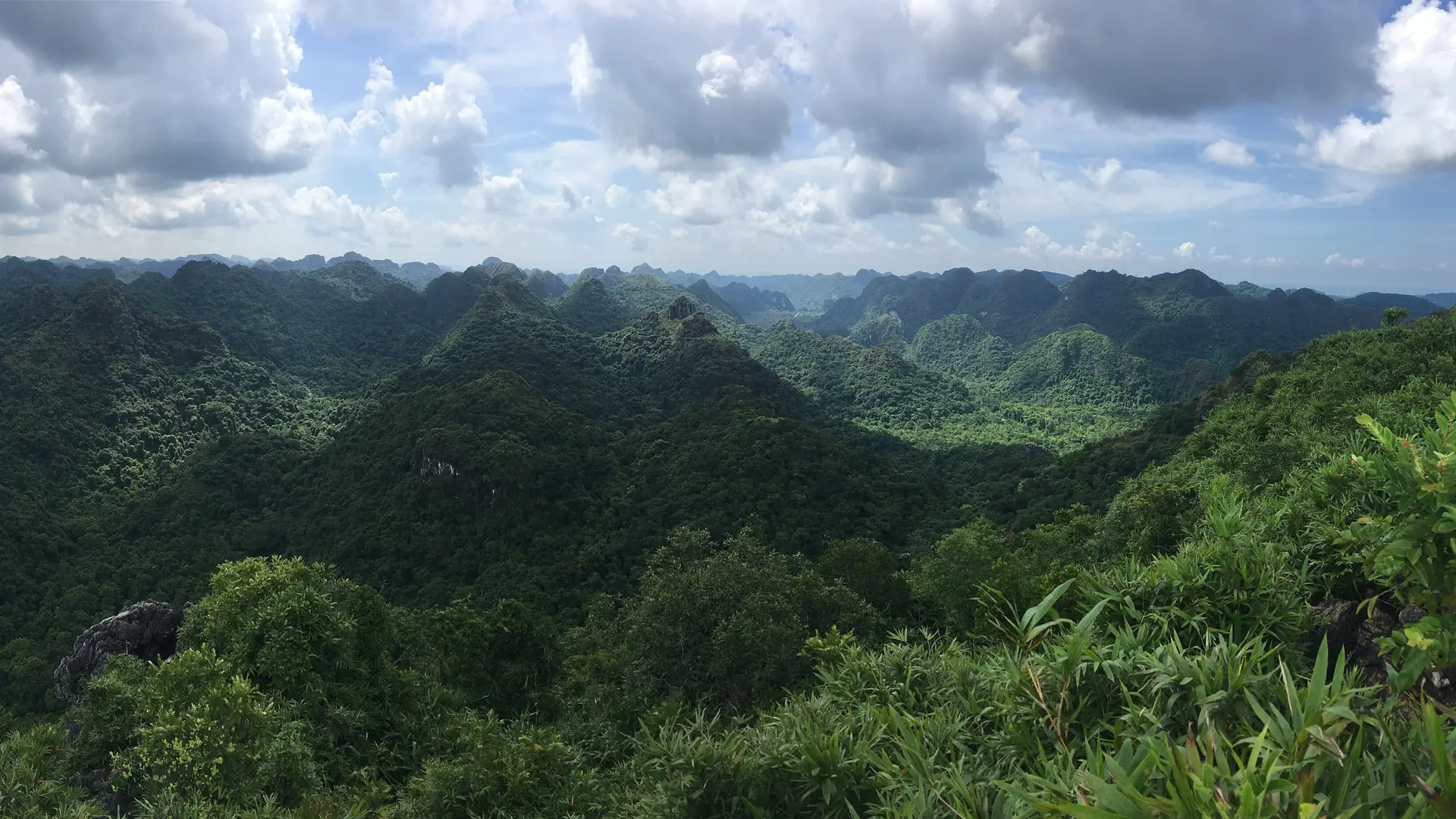 Forested limestone ridges from Ngu Lam Peak in Cat Ba National Park, not a photograph of Viet Hai village