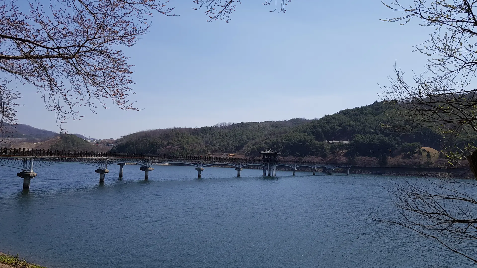 Wolyeonggyo Bridge's long wooden walkway and central pavilion crossing the river under a clear blue sky, Andong