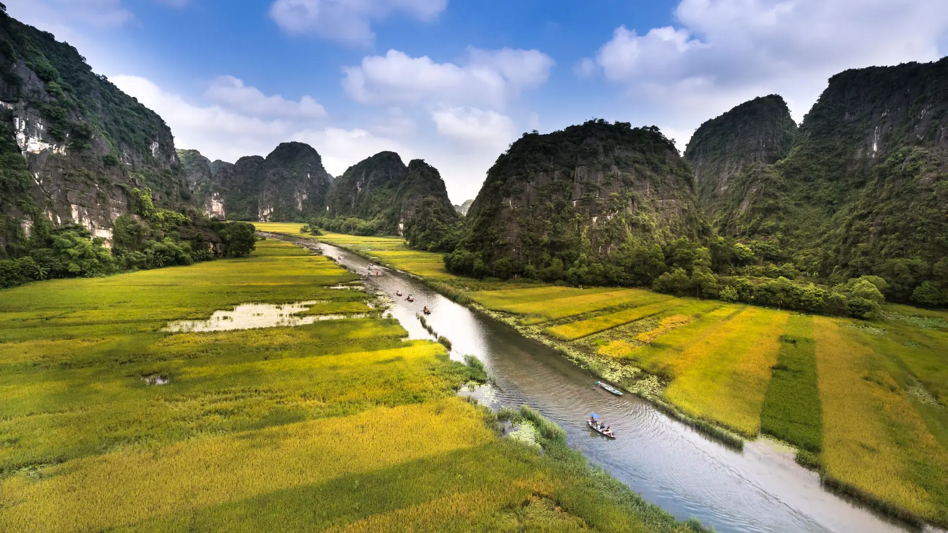 Ngo Dong watercourse through golden Tam Coc fields