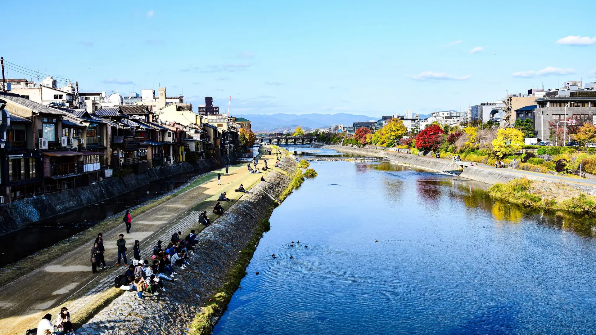 Sunlit Kamo River in central Kyoto, with riverside houses, autumn trees and people on the bank