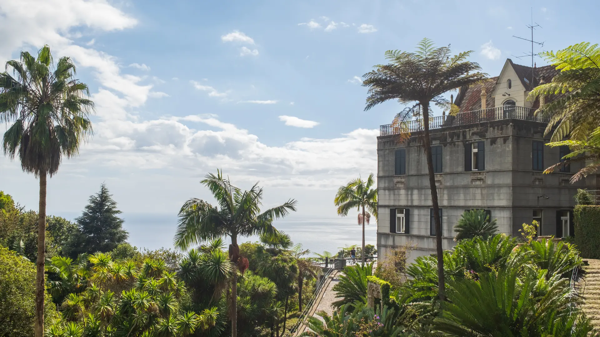 the Monte Palace Tropical Garden above Funchal with palm trees and a bay view