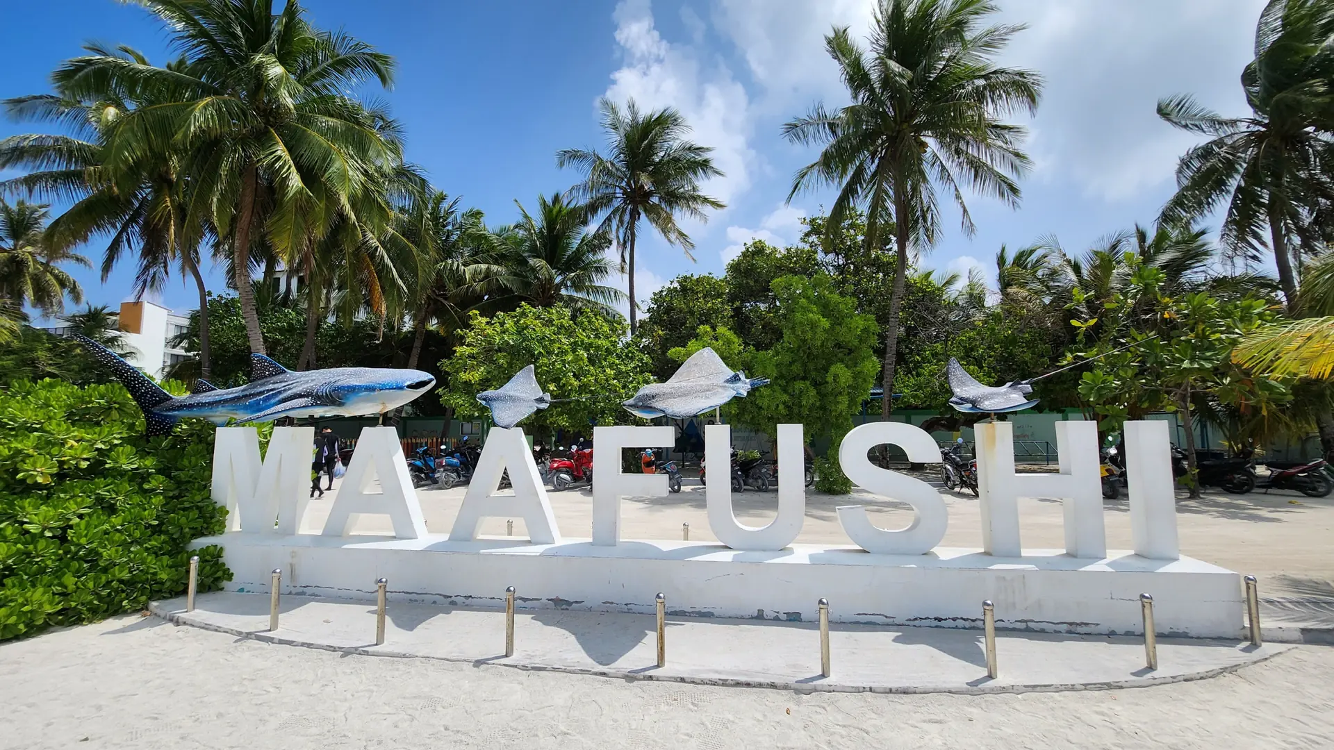 Palm-lined Maafushi island sign in bright daylight