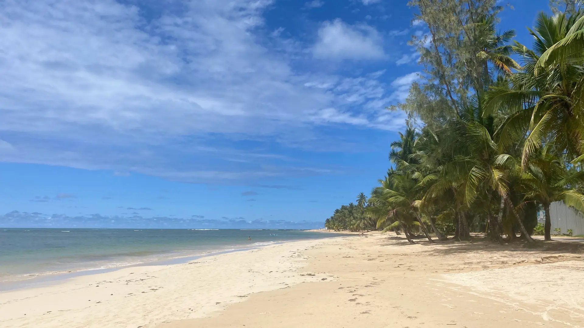 Sunlit Playa Las Ballenas coastline near Las Terrenas