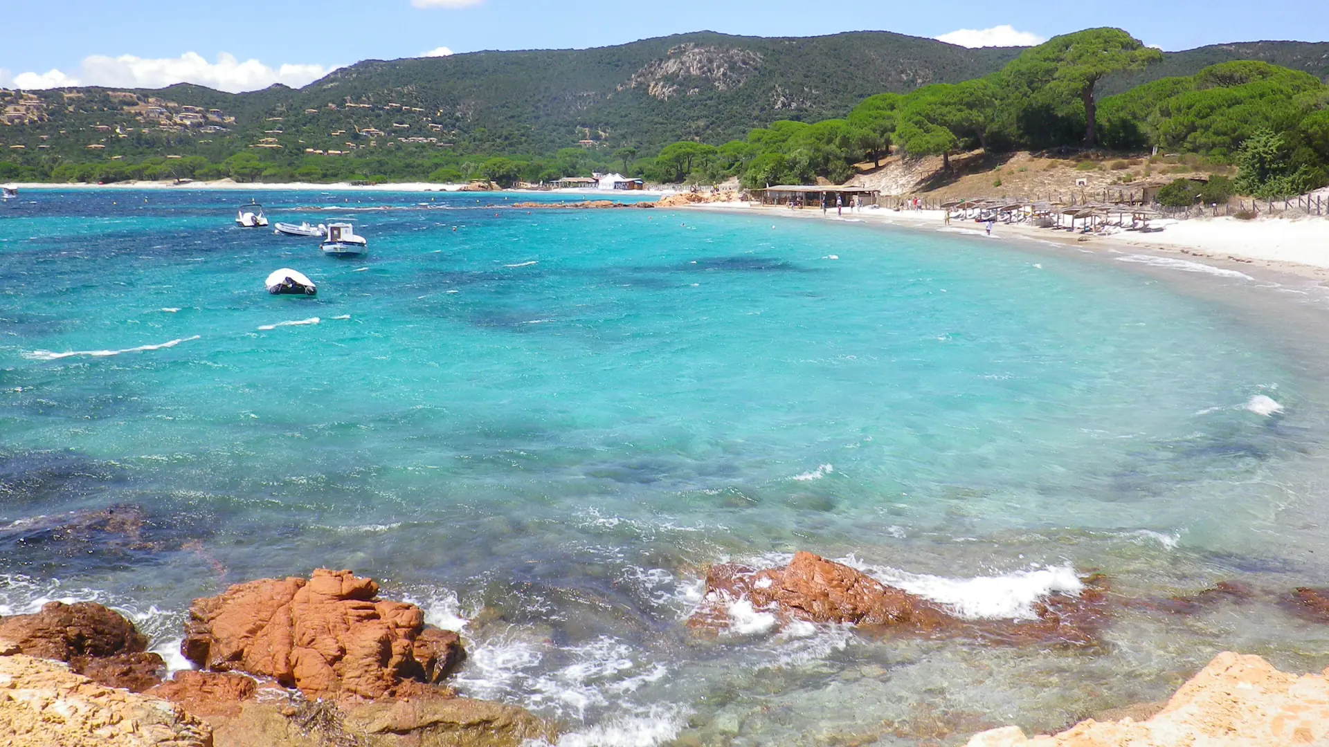 Red rocks beside Palombaggia’s turquoise water and pale sand, with parasol pines along the shore