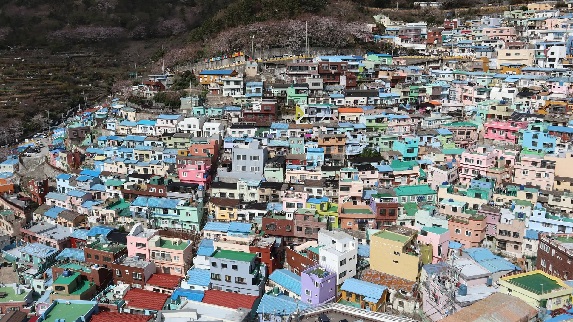 Gamcheon Culture Village's brightly painted hillside houses in blue, pink and yellow under a clear sky, Busan