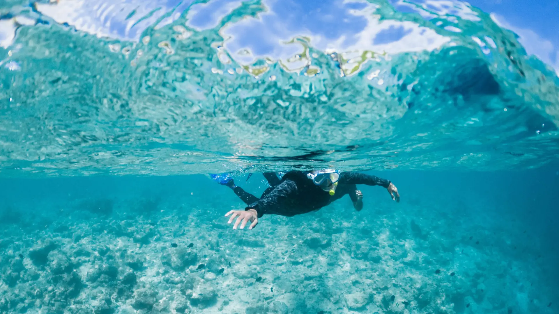 Snorkeler crossing a sunlit shallow reef in the Maldives under rippled turquoise water