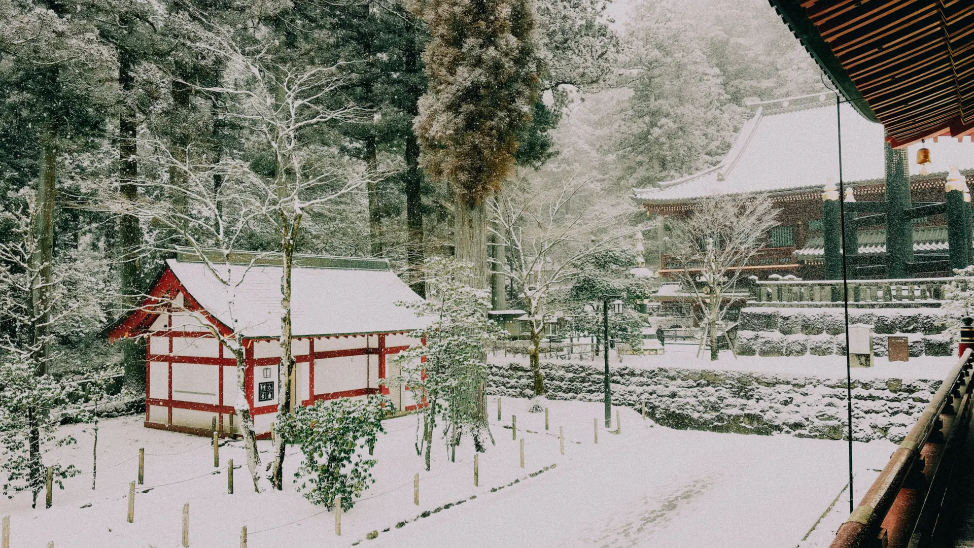 Snow-covered temple roofs and pine trees in Nagano under clear winter light