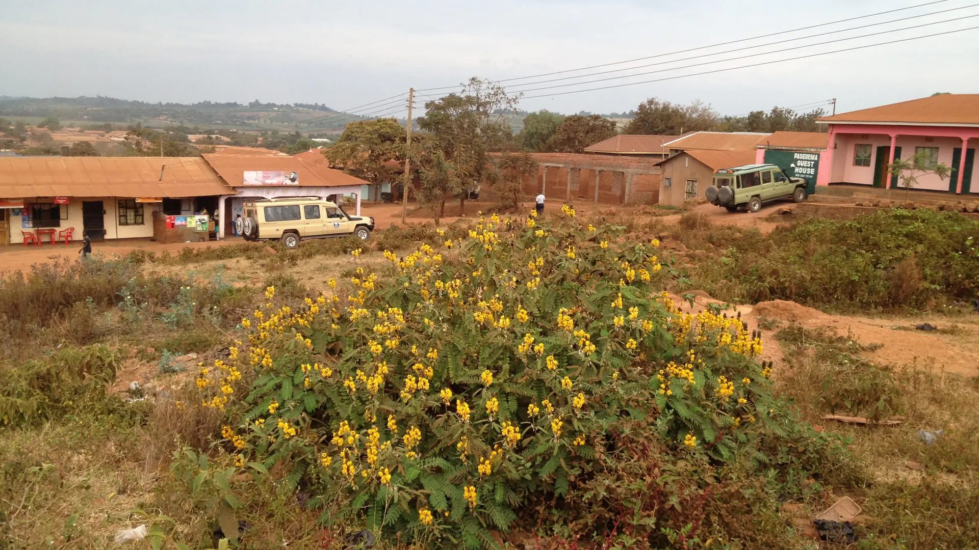 Karatu district rooftops and flowering shrubs in a wider town view