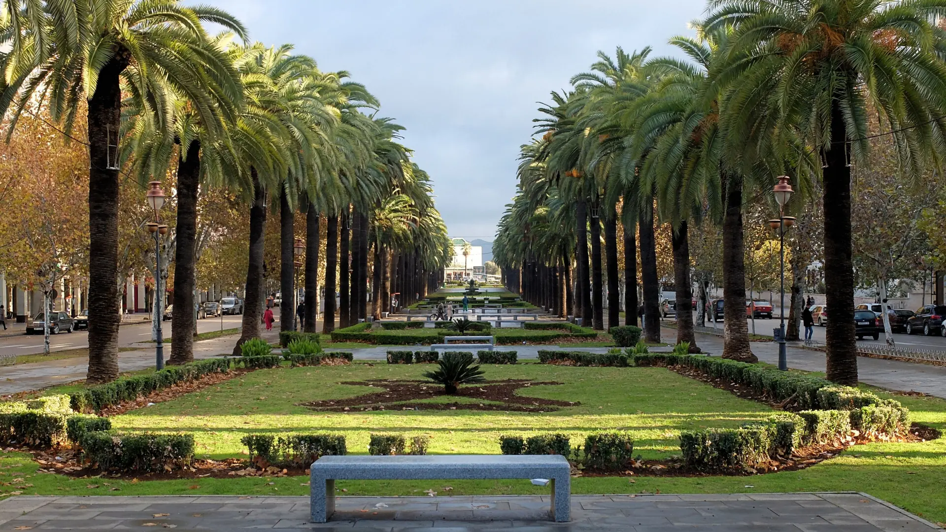Palm-lined Avenue Hassan II in Fez Ville Nouvelle by day