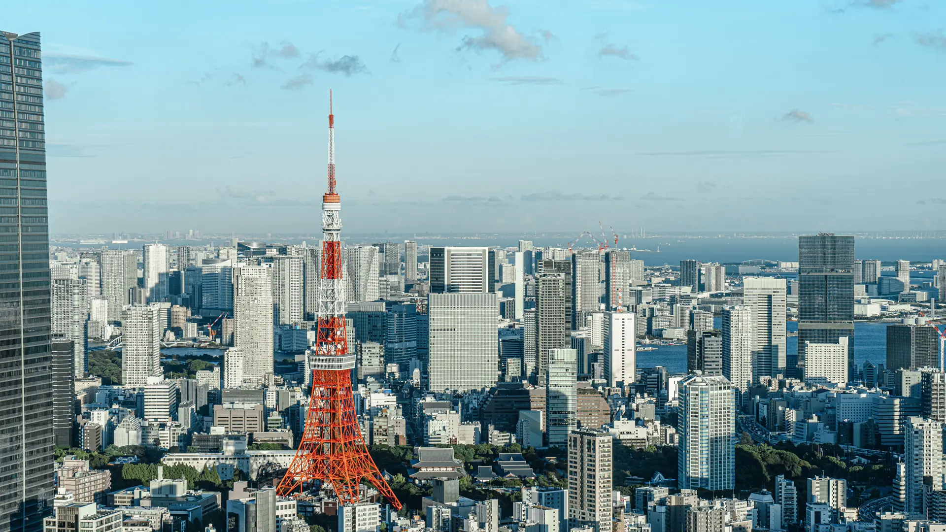 Tokyo Tower rising beside the contemporary Roppongi and Azabudai skyline on a sunny day