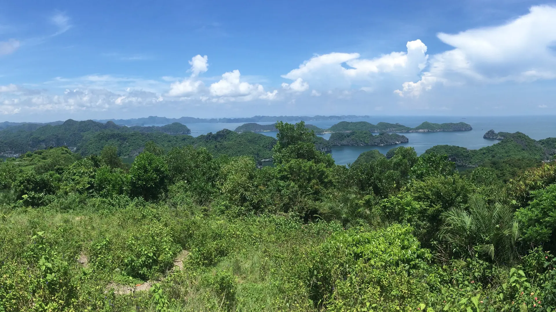 Lan Ha Bay islands and the wooded Cat Ba coast seen from an elevated viewpoint
