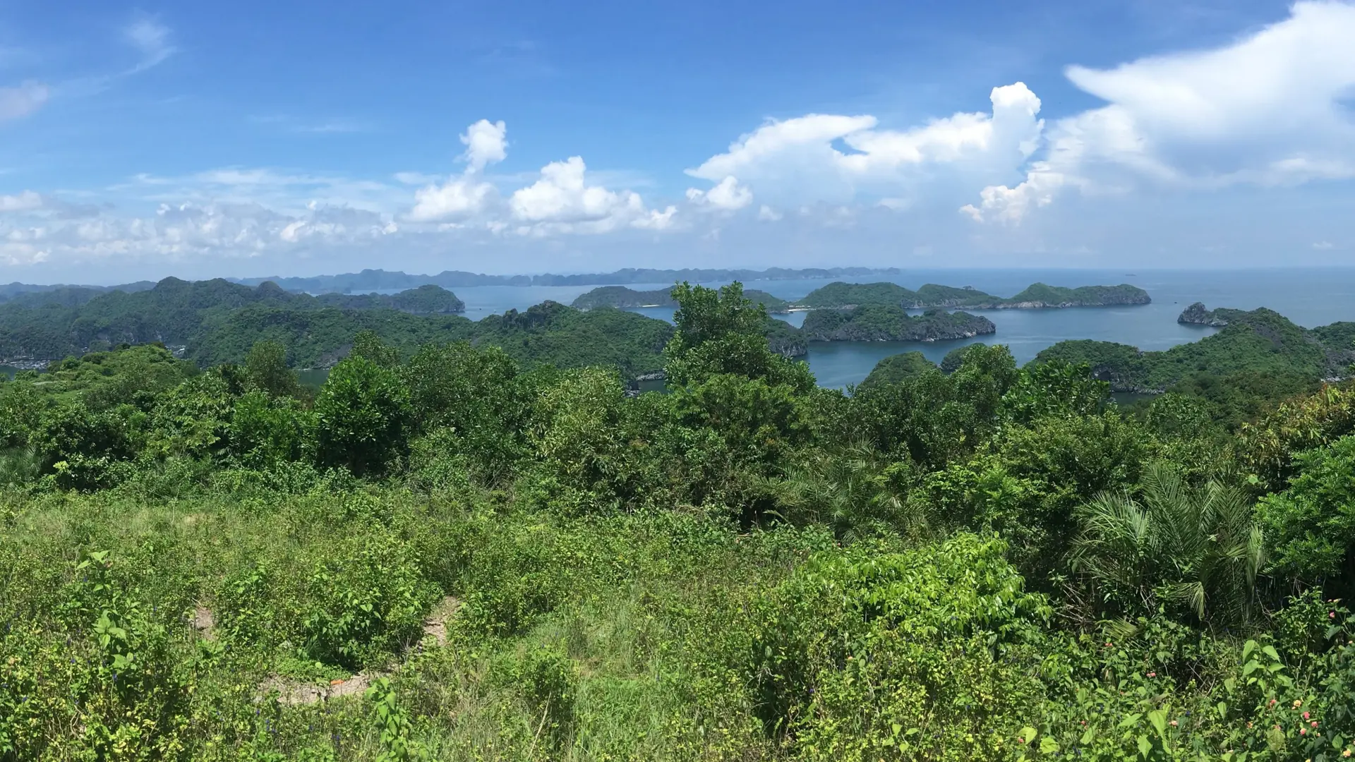 Lan Ha limestone islands beyond Cat Ba woodland