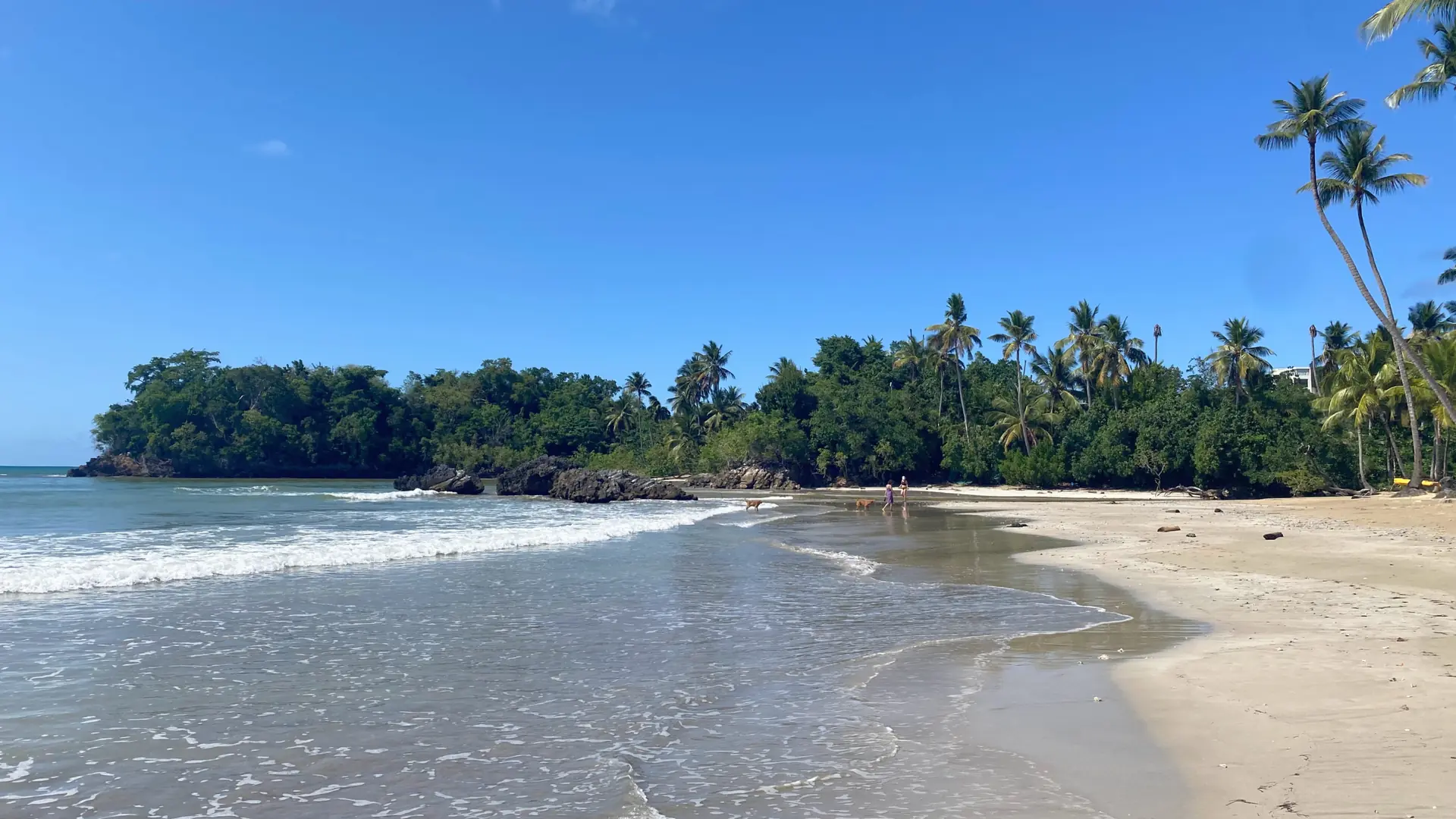 Broad sunlit Playa Bonita shore near Las Terrenas with gentle surf