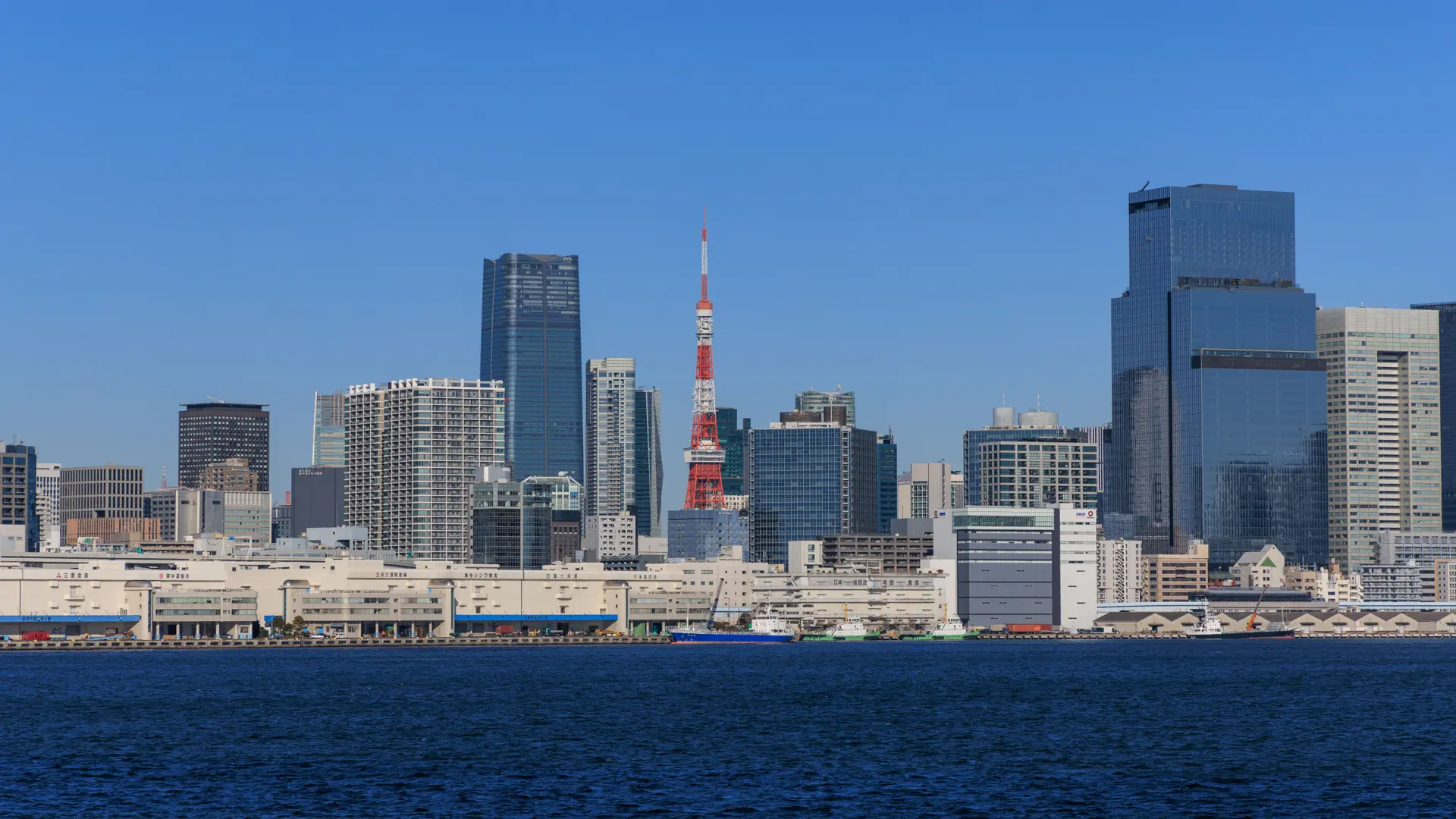 Tokyo Tower among sunlit city buildings across Tokyo Bay.