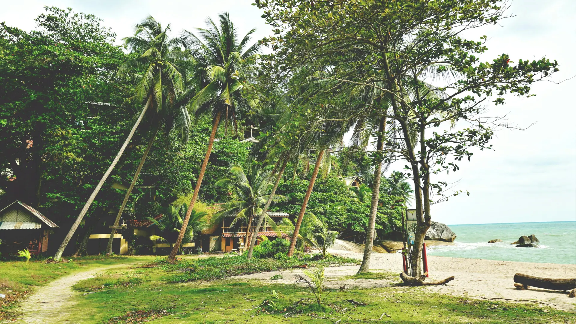 Palms, white sand and calm turquoise water on Koh Phangan
