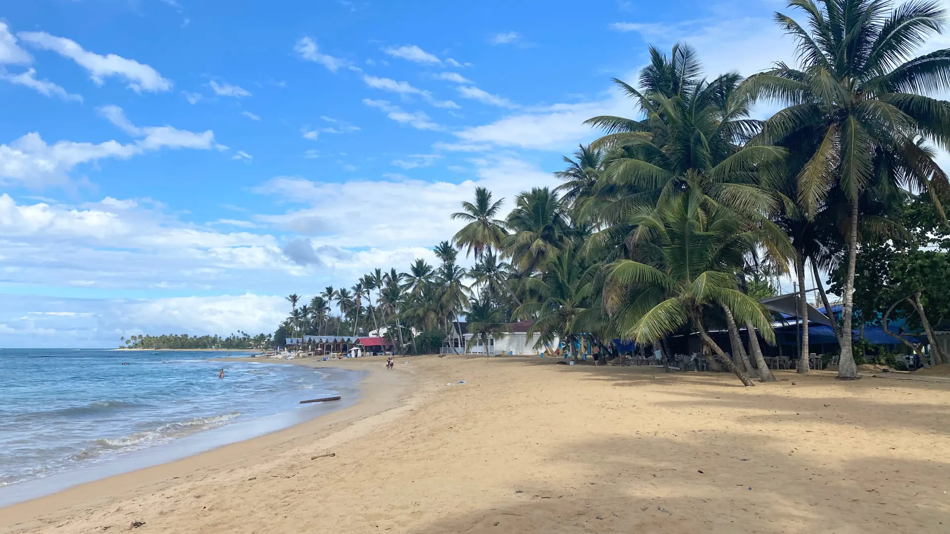 Sunny central Las Terrenas shore with palms and town-side sand