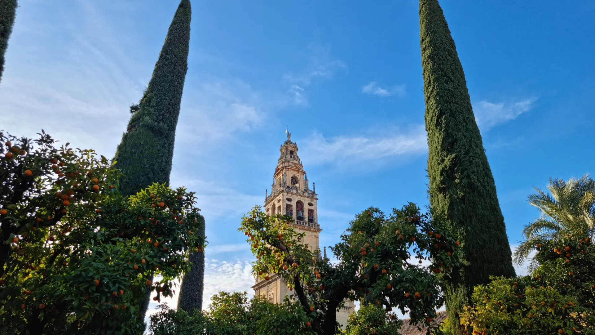 Mosque–Cathedral bell tower between cypresses and orange trees beneath a blue Córdoba sky