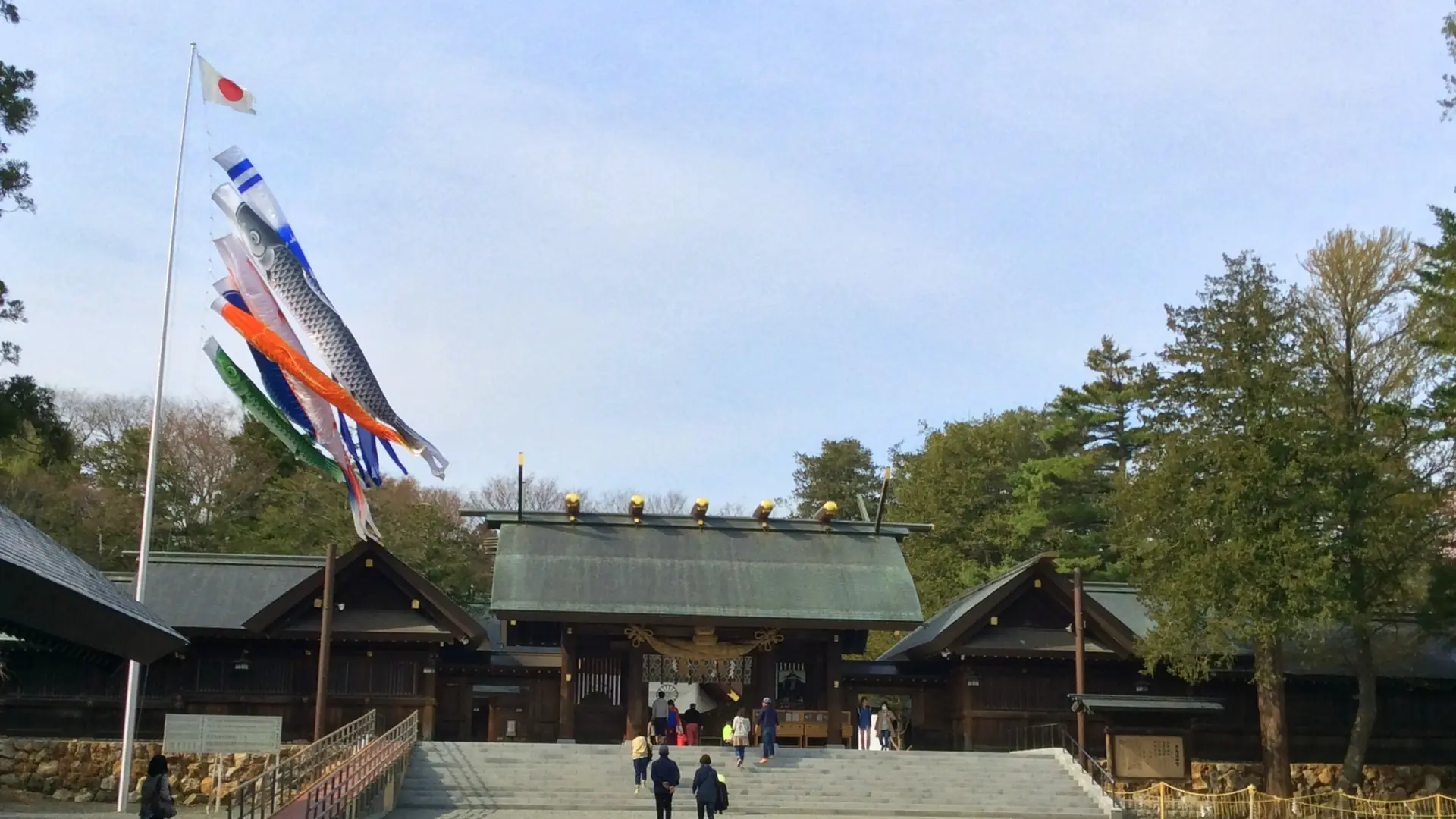 Carp streamers beside Hokkaido Shrine’s Shinmon gate and its sunlit stone approach in Sapporo.