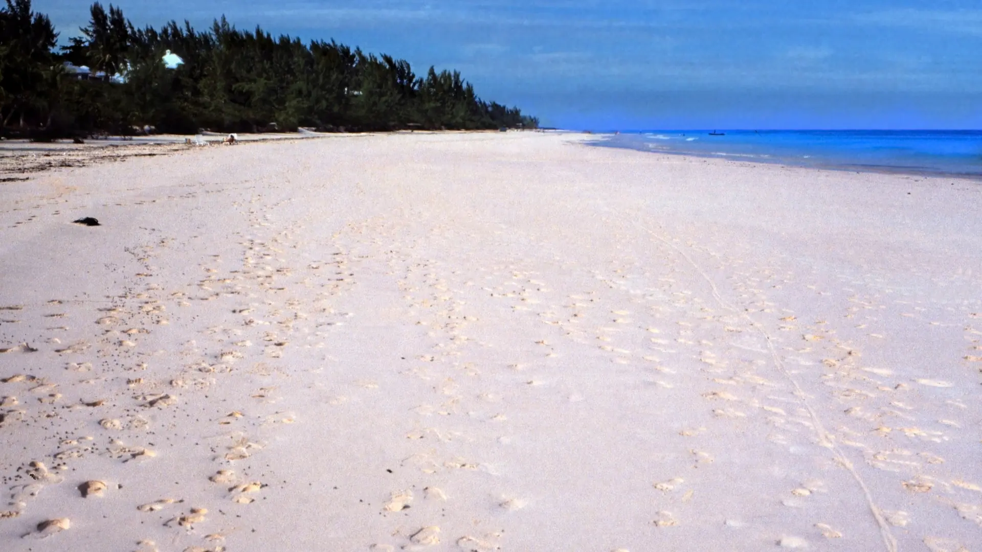 The broad pink-sand beach on Harbour Island near northern Eleuthera