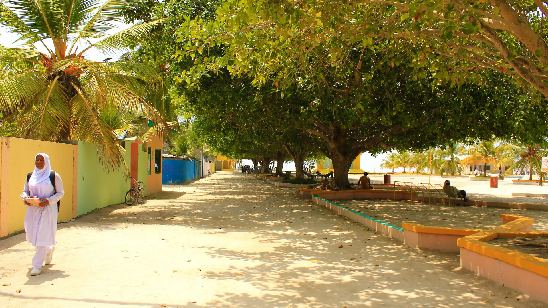 Shaded Vashaamagu lane on Ukulhas, with palms and local residents