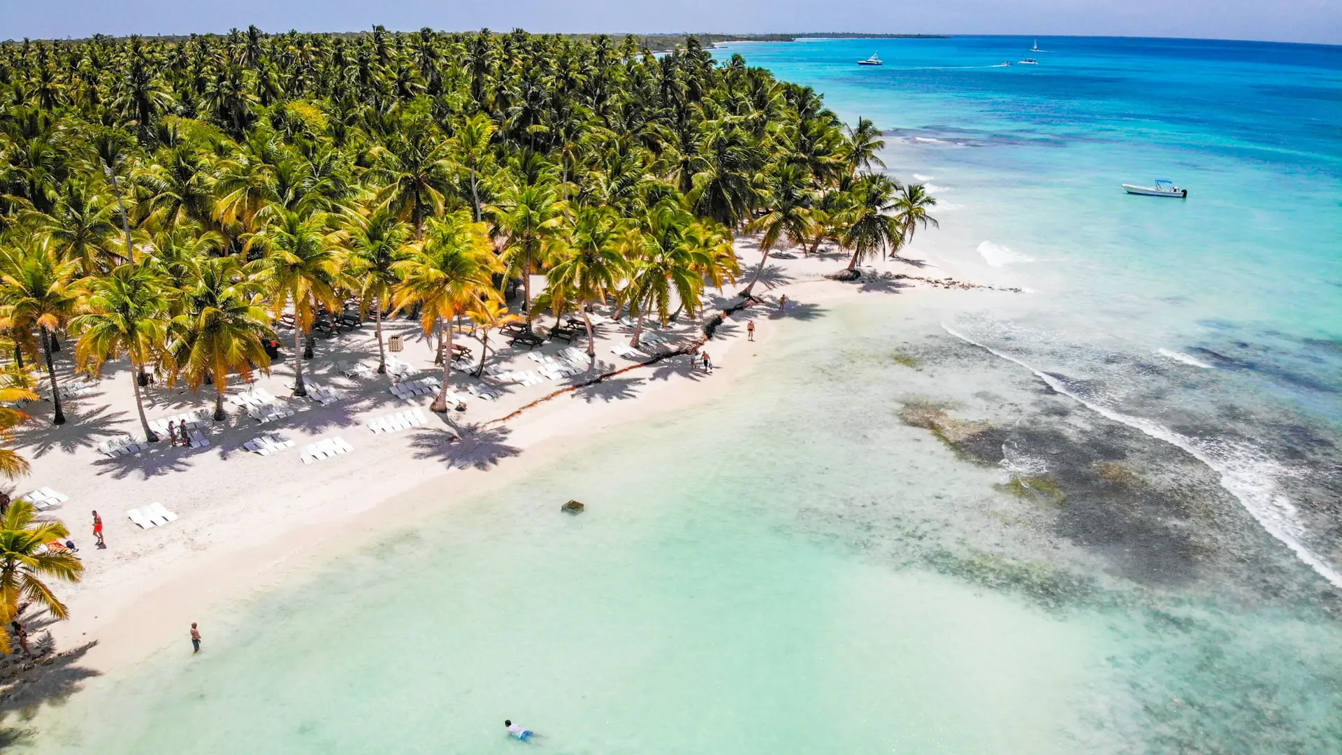 Sunny palm-lined Punta Cana beach with blue sea
