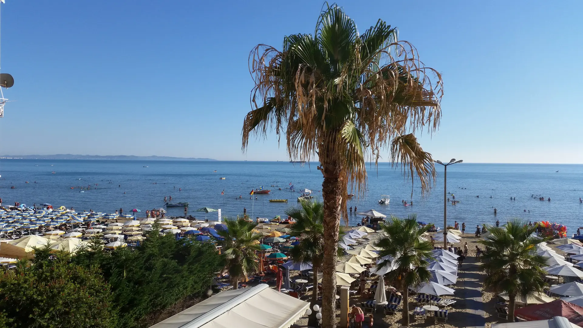 Palm trees and rows of beach umbrellas along the sandy shore at Durrës, with the calm Adriatic under a bright summer sky