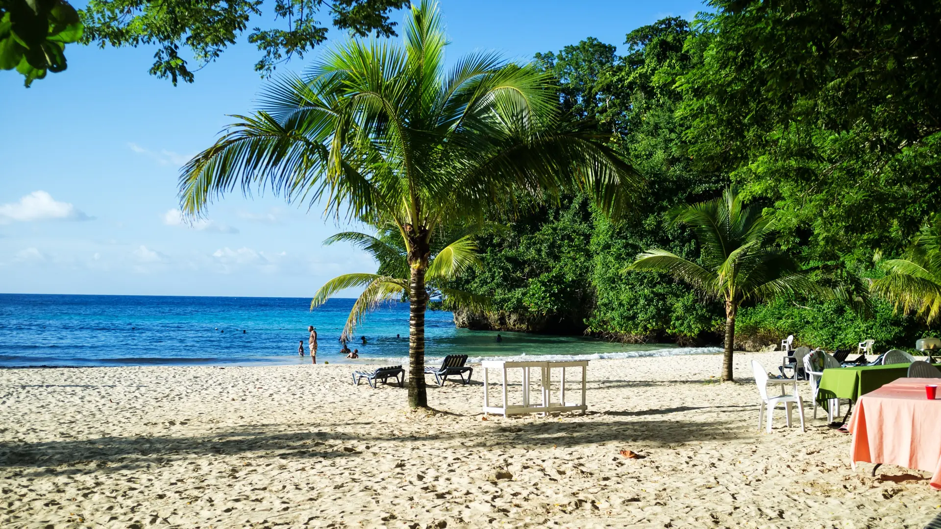 Palms and sand beside the sea at Frenchman’s Cove near Port Antonio