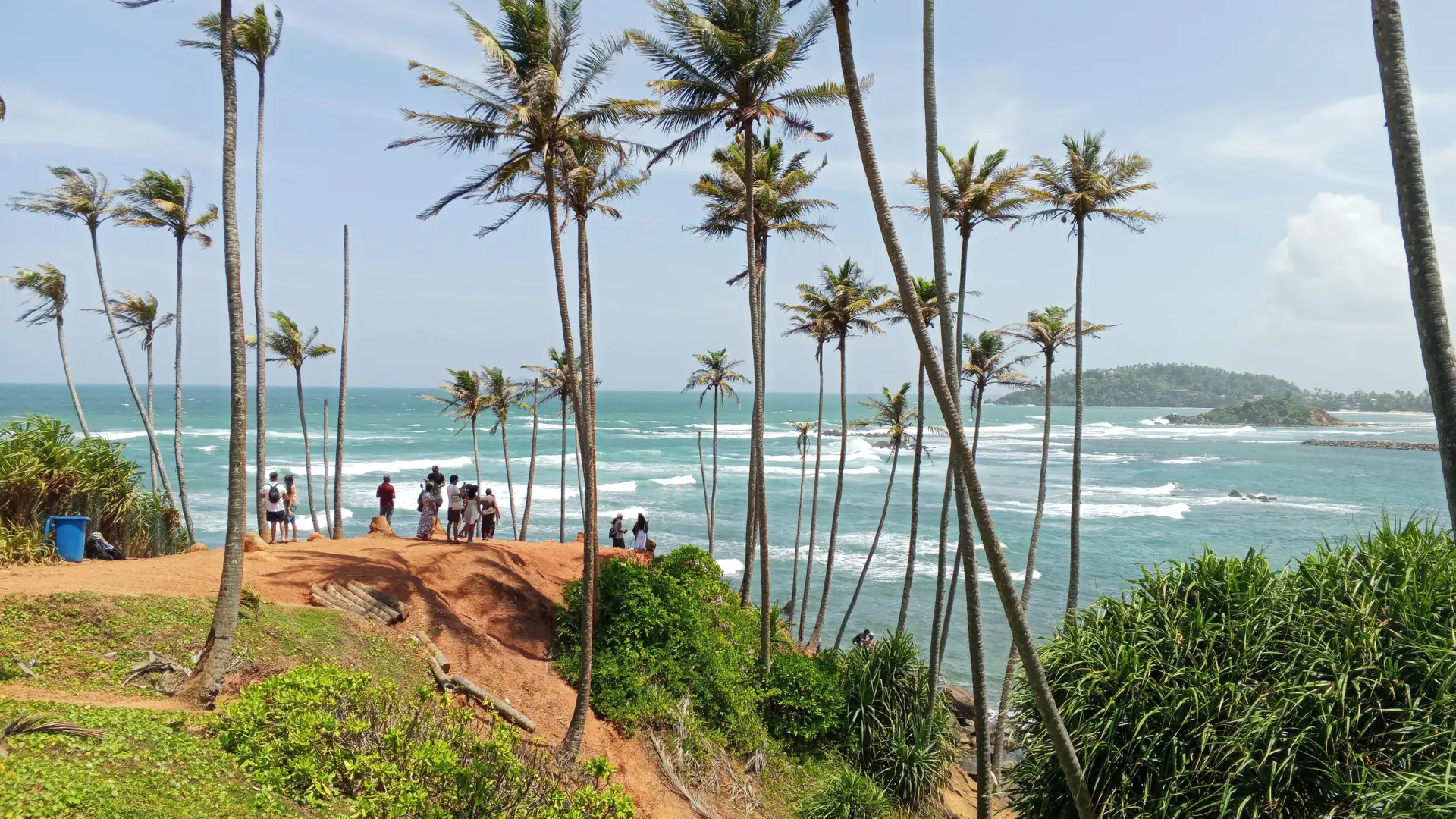 Palm-lined Mirissa coast and blue sea in bright Sri Lankan daylight