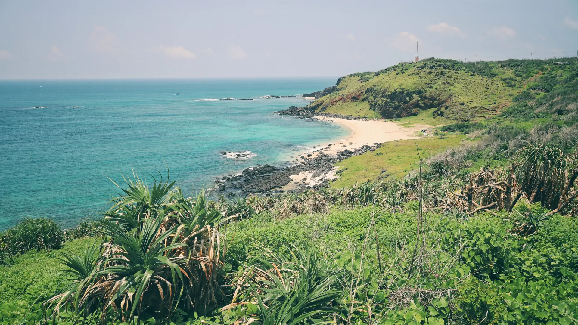 Okinawa's green subtropical coast meeting a clear turquoise sea in bright sunshine