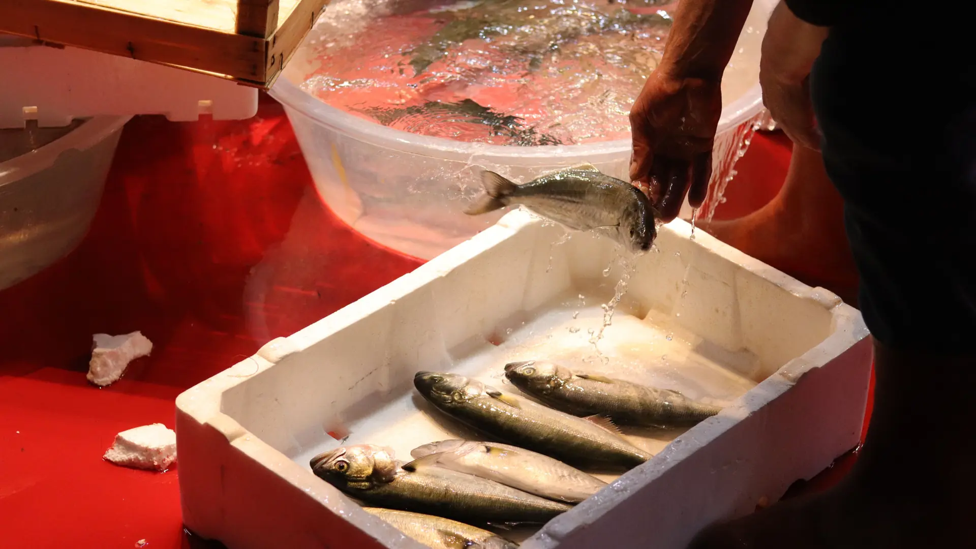 Fresh Adriatic seafood and local produce arranged at a Croatian coastal market
