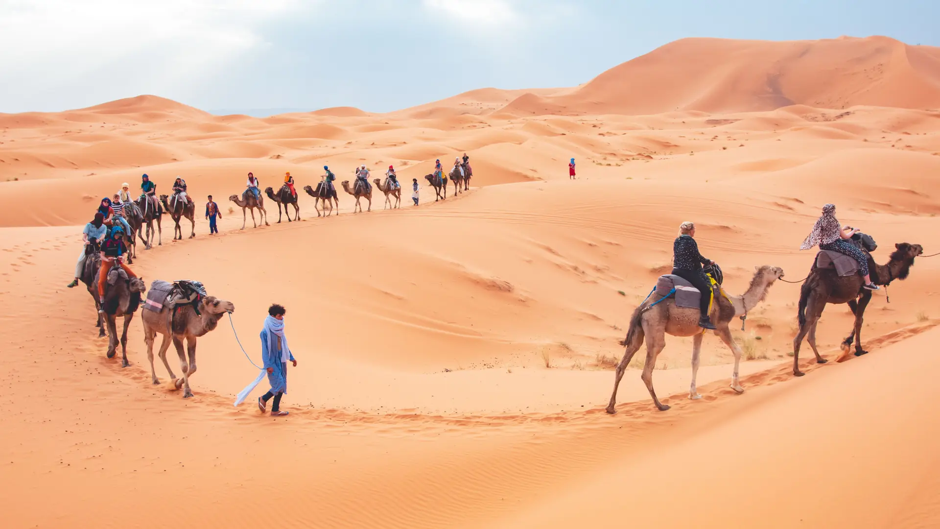 Camel caravan crossing the pale orange dunes near Merzouga