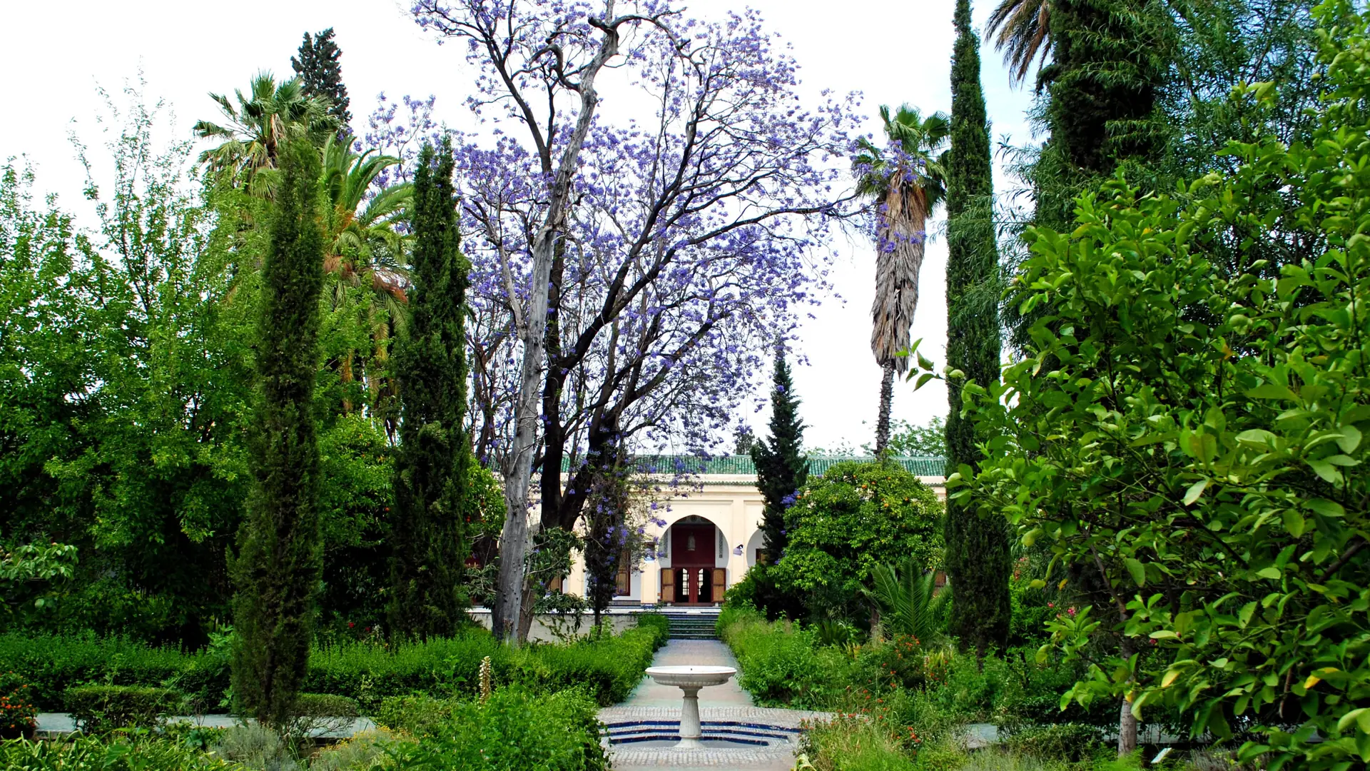 Green courtyard garden at Dar Batha in Fez in daylight