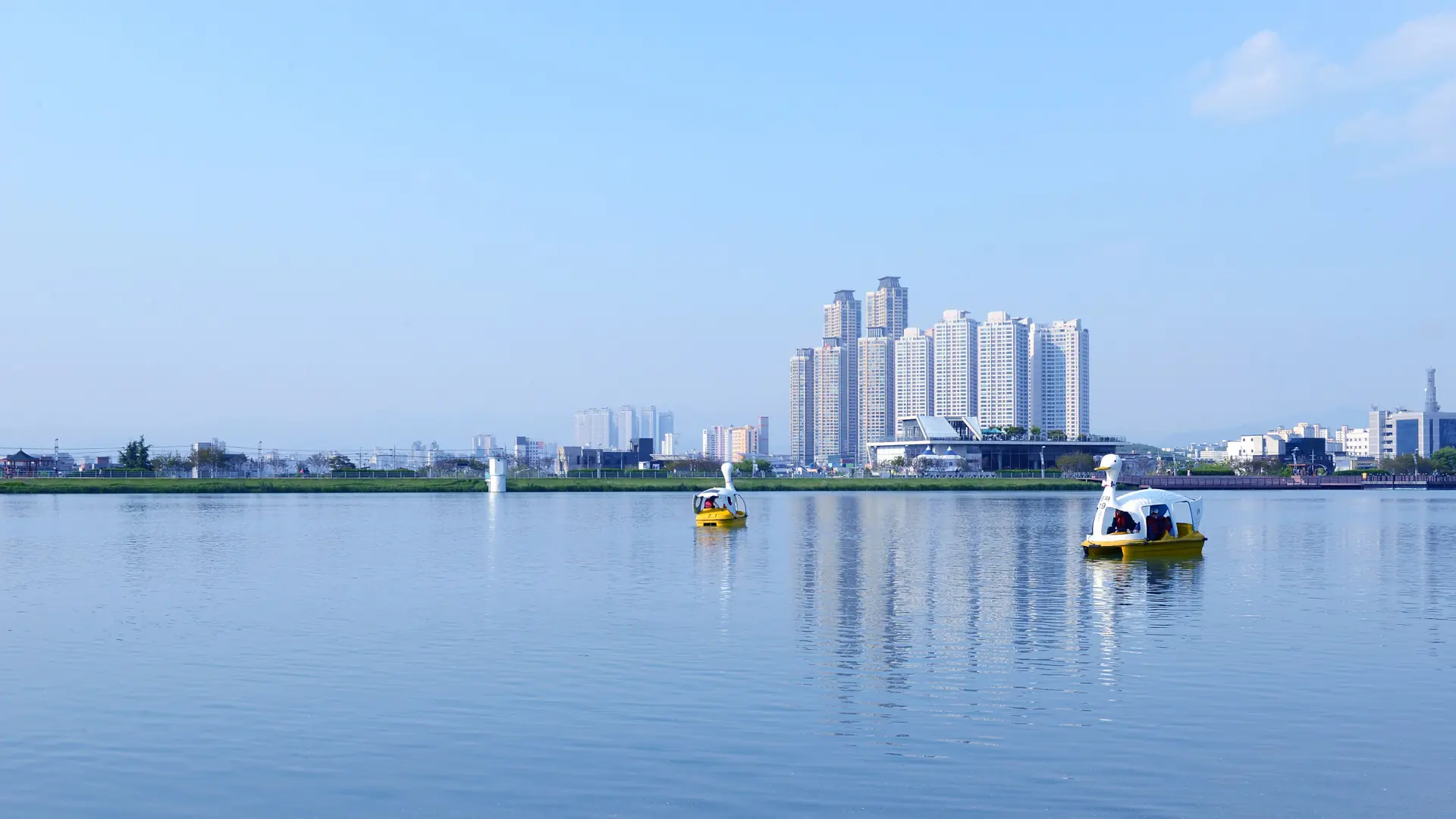 Suseongmot (Suseong Lake) in Daegu, with its signature yellow swan pedal boats on calm blue water and the Suseong-gu skyline behind, in bright daylight