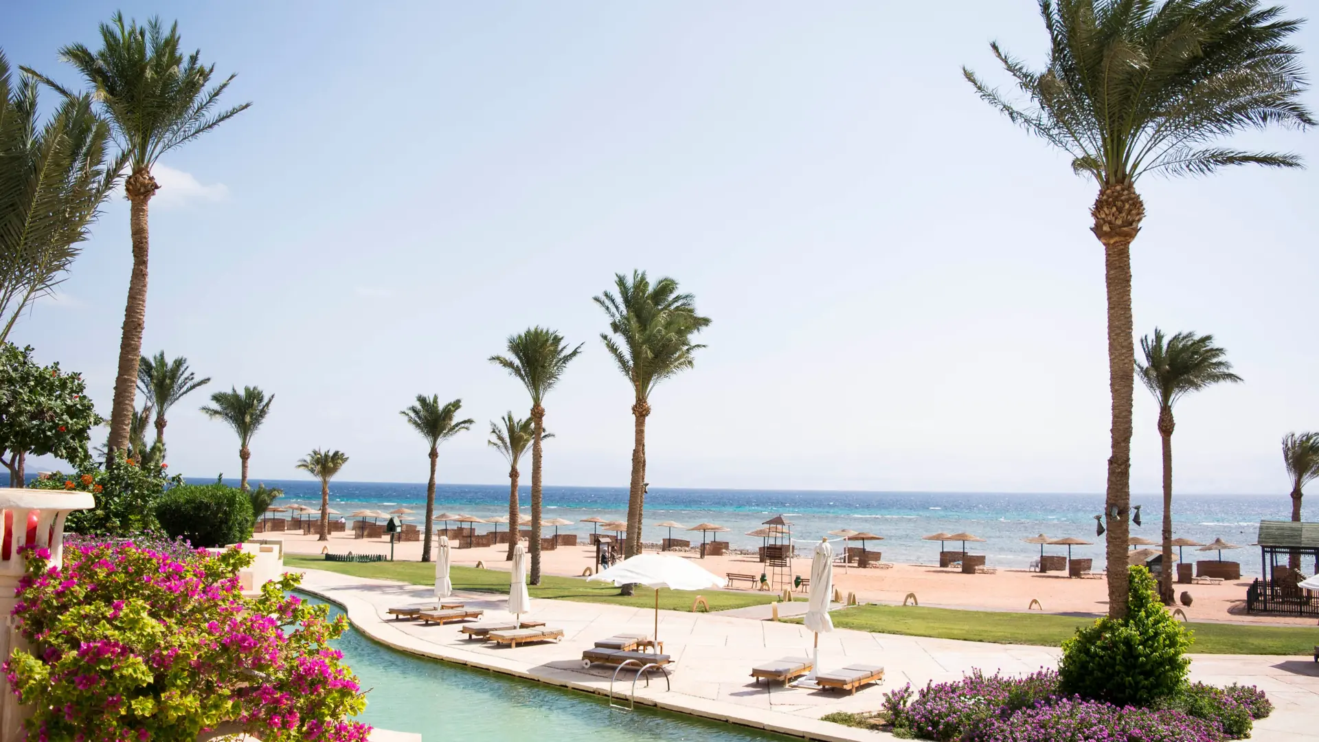 Sunny Egyptian Red Sea resort garden with palms, a pool and beach beyond