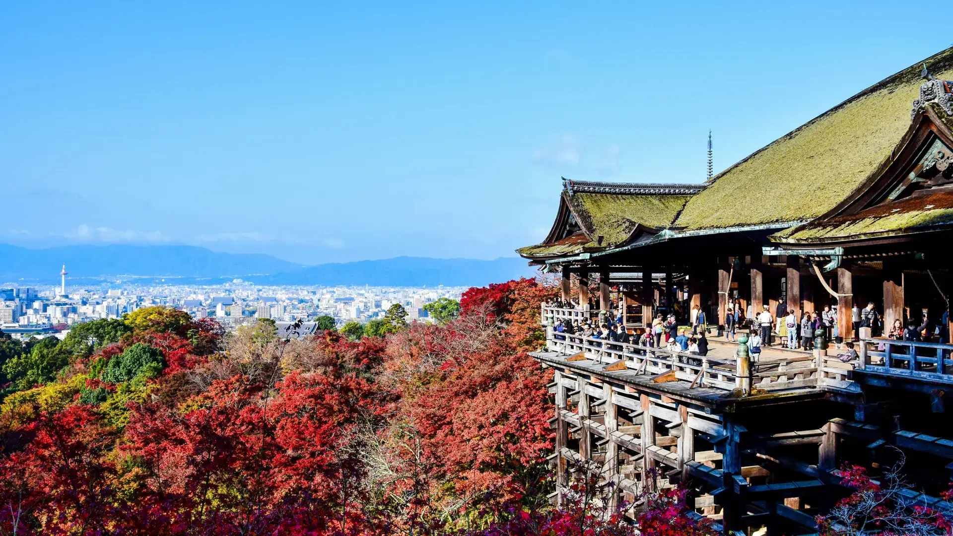Kiyomizu-dera's wooden terrace and vermilion pagoda above sunlit Kyoto