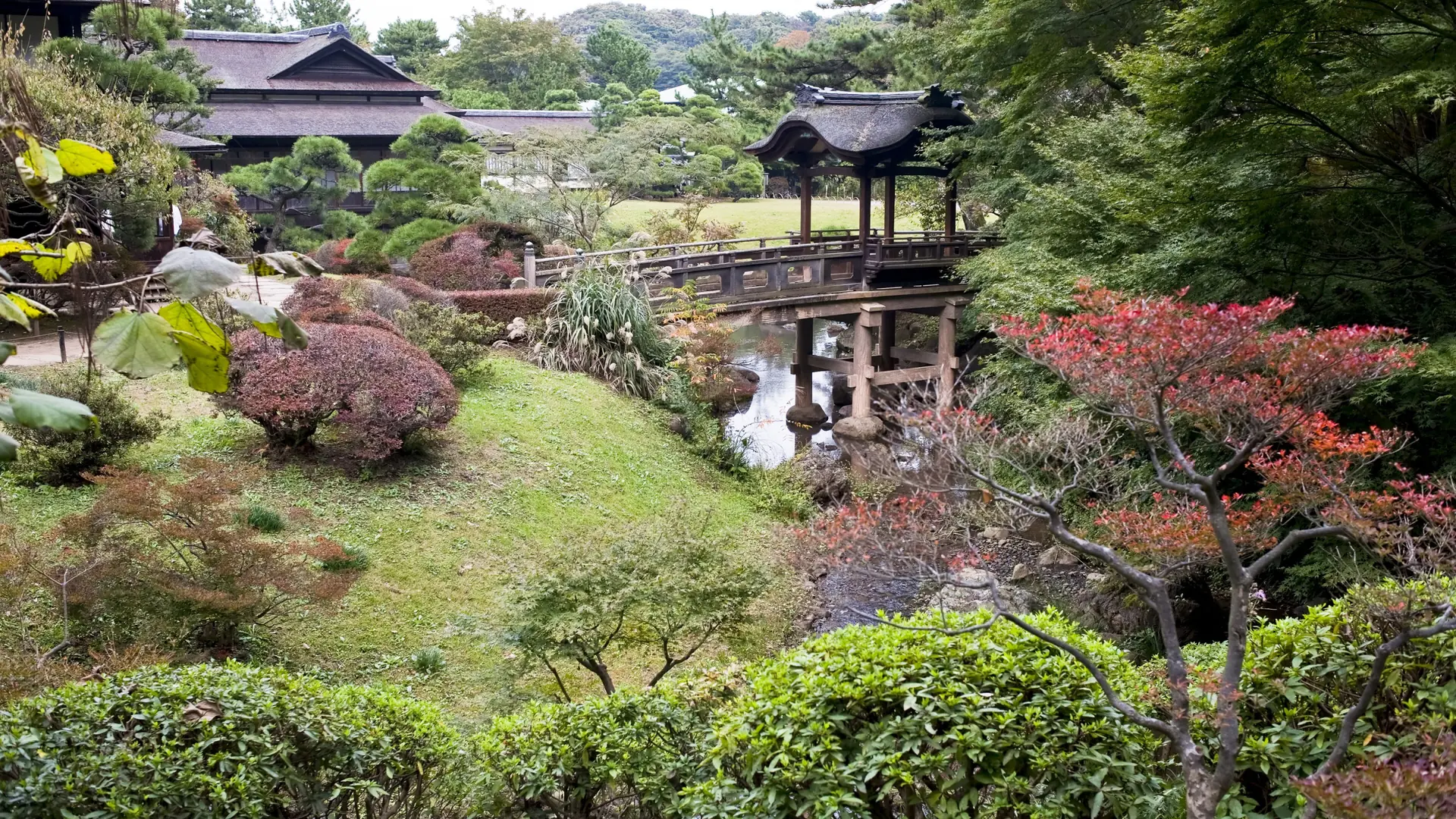 Rinshunkaku villa and Teisha Bridge among colourful foliage at Sankeien Garden