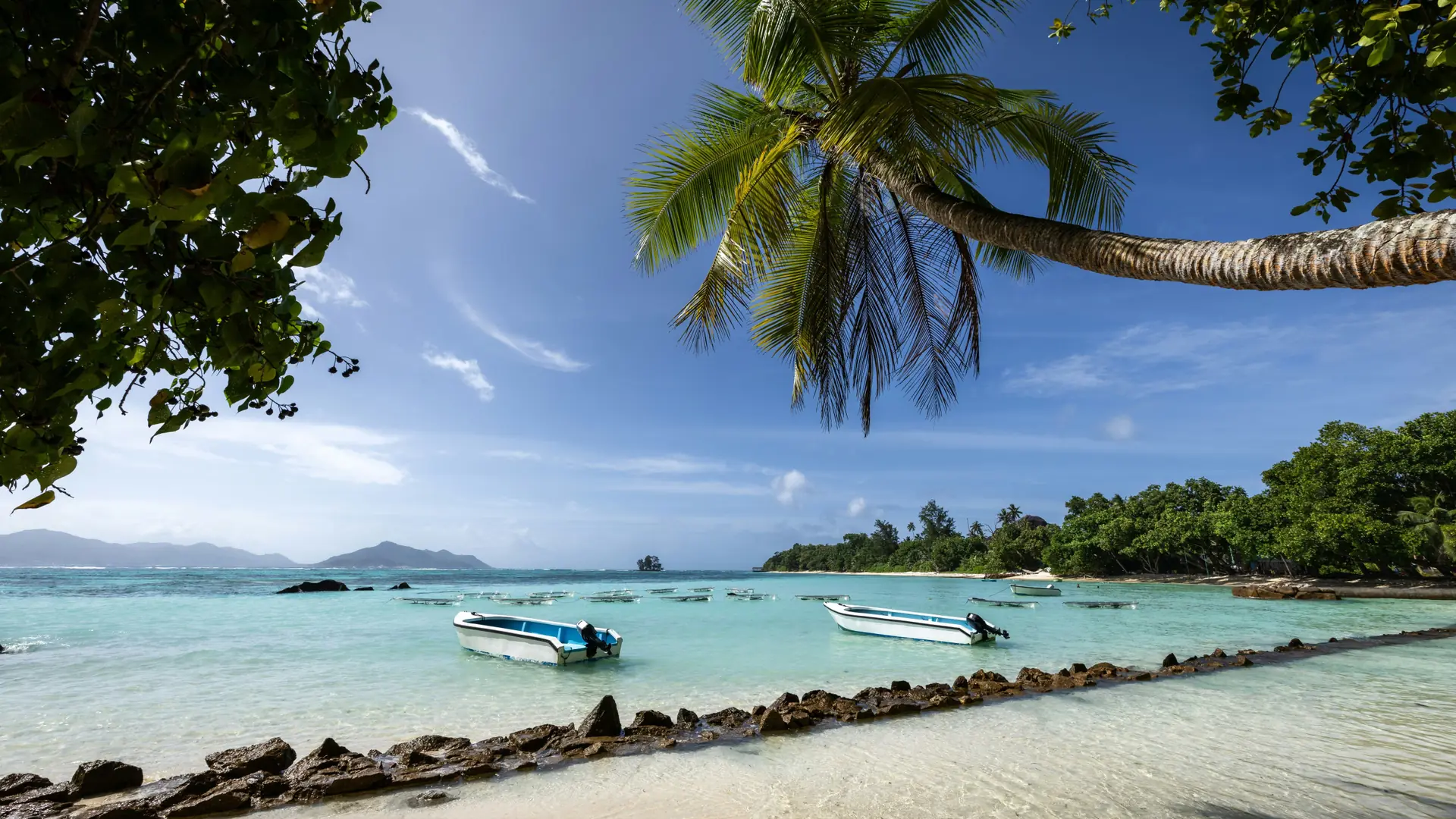 Palm-framed Seychelles beach with boats in calm turquoise water