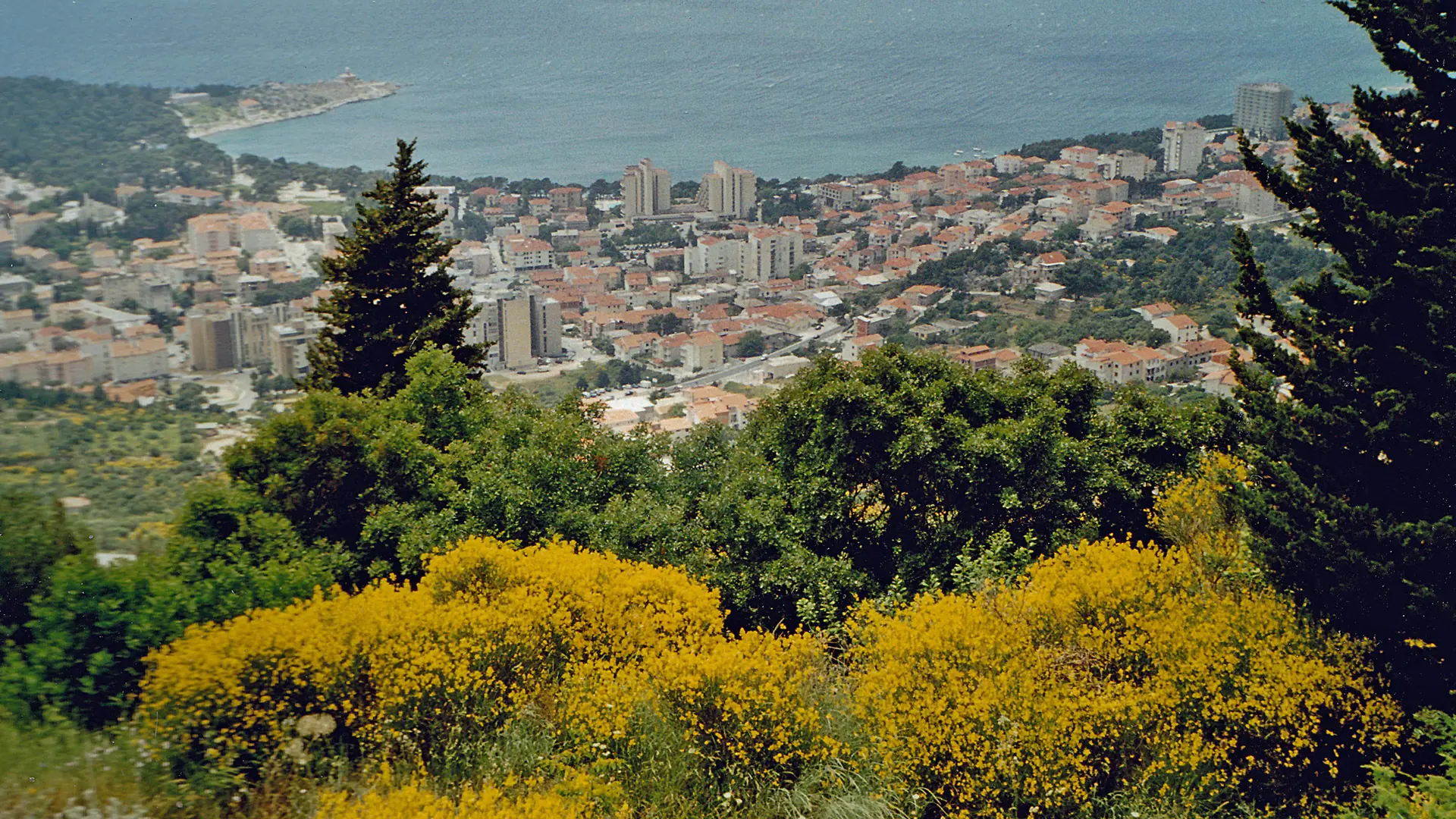 View over Makarska and the sea from the hillside