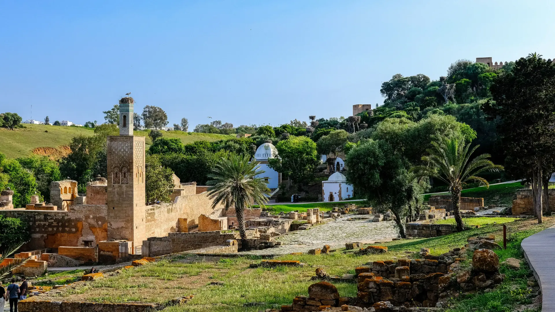 Chellah ruins, minaret and green grounds in Rabat