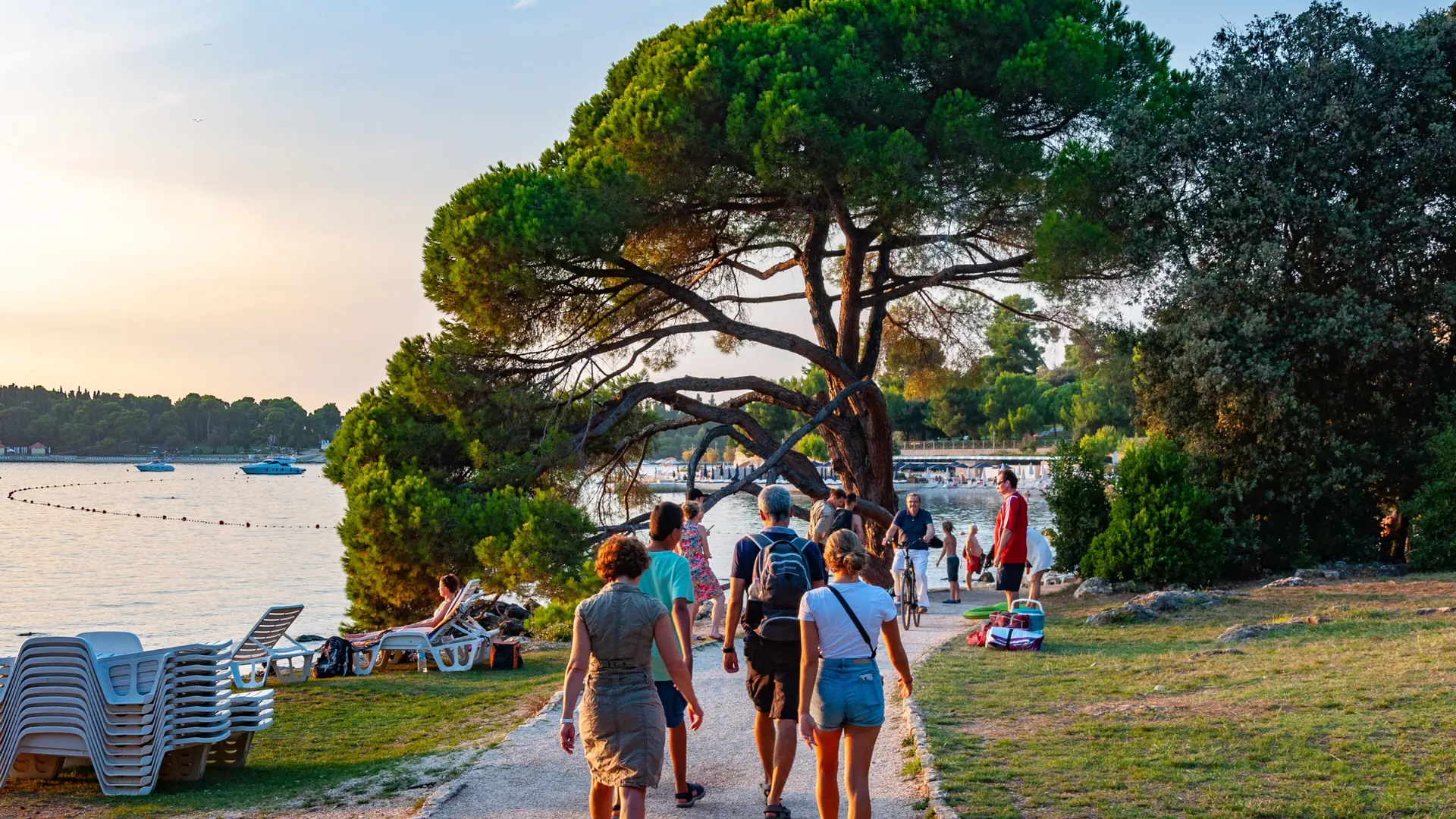 People walking beneath pine trees beside Lone Beach in Rovinj